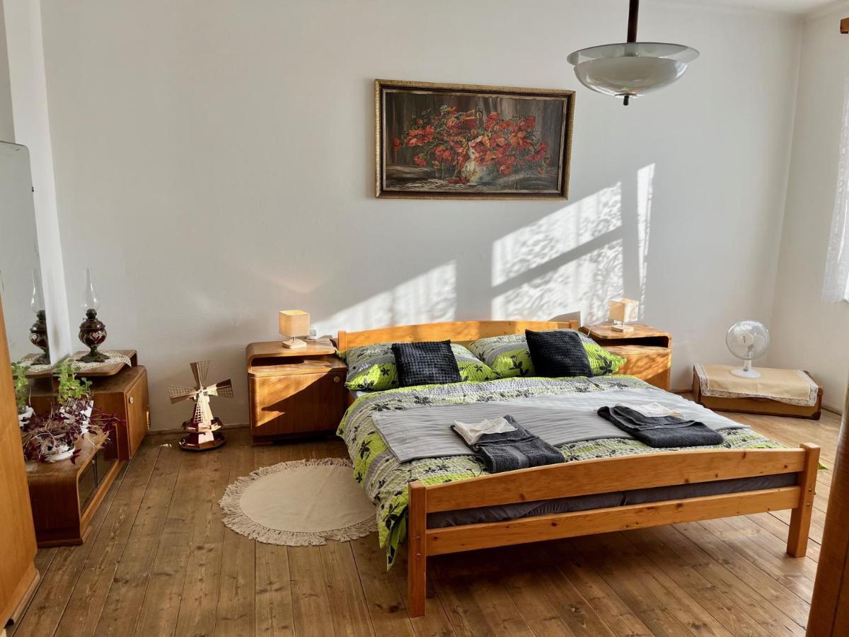 Slunny Byt S Krasnym Vyhledem Apartment Nove Mesto nad Metuji Exterior photo