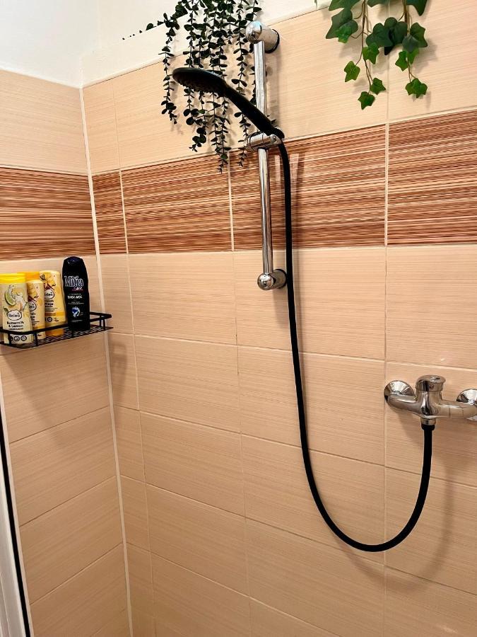 Slunny Byt S Krasnym Vyhledem Apartment Nove Mesto nad Metuji Exterior photo